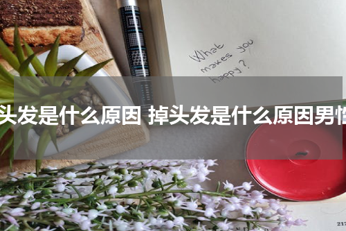 掉头发是什么原因 掉头发是什么原因男性