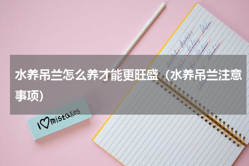 水养吊兰怎么养才能更旺盛（水养吊兰注意事项）