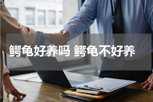 鳄龟好养吗 鳄龟不好养