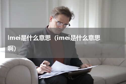 lmei是什么意思（imei是什么意思啊）