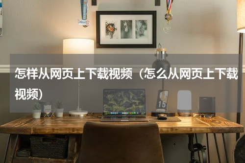怎样从网页上下载视频（怎么从网页上下载视频）