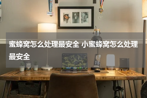 蜜蜂窝怎么处理最安全 小蜜蜂窝怎么处理最安全
