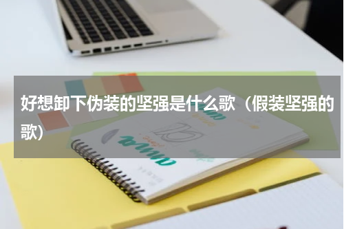 好想卸下伪装的坚强是什么歌（假装坚强的歌）