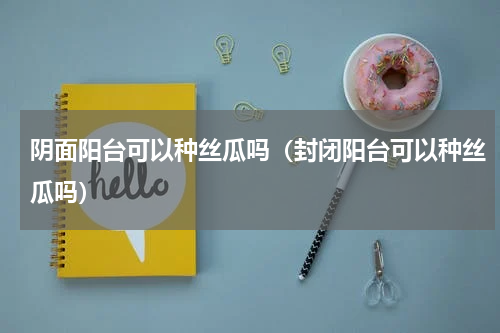 阴面阳台可以种丝瓜吗（封闭阳台可以种丝瓜吗）