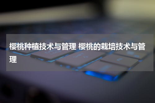 樱桃种植技术与管理 樱桃的栽培技术与管理
