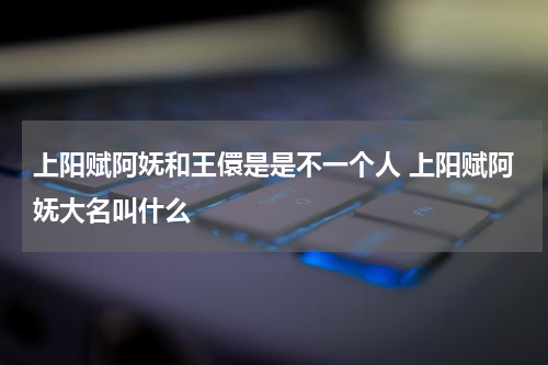 上阳赋阿妩和王儇是是不一个人 上阳赋阿妩大名叫什么