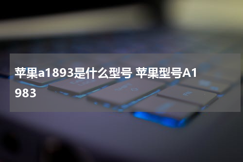 苹果a1893是什么型号 苹果型号A1983