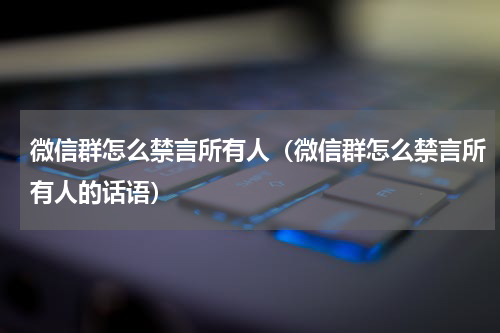微信群怎么禁言所有人（微信群怎么禁言所有人的话语）
