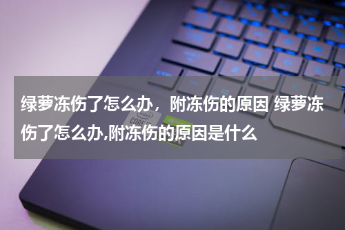 绿萝冻伤了怎么办，附冻伤的原因 绿萝冻伤了怎么办,附冻伤的原因是什么