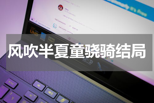 风吹半夏童骁骑结局