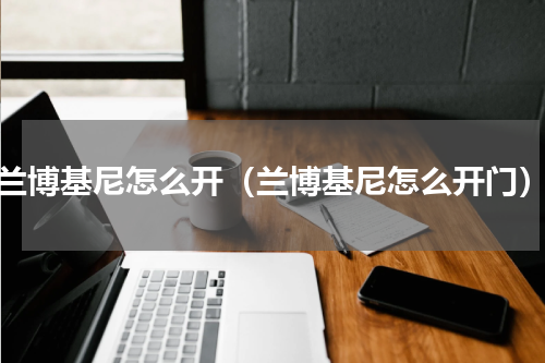 兰博基尼怎么开（兰博基尼怎么开门）