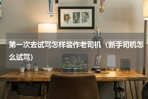 第一次去试驾怎样装作老司机（新手司机怎么试驾）