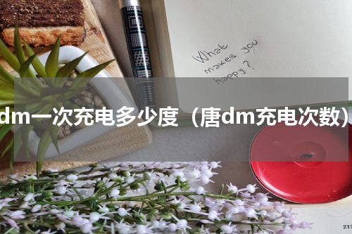 唐dm一次充电多少度（唐dm充电次数）