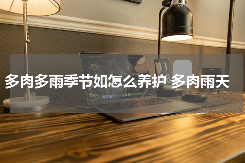 多肉多雨季节如怎么养护 多肉雨天