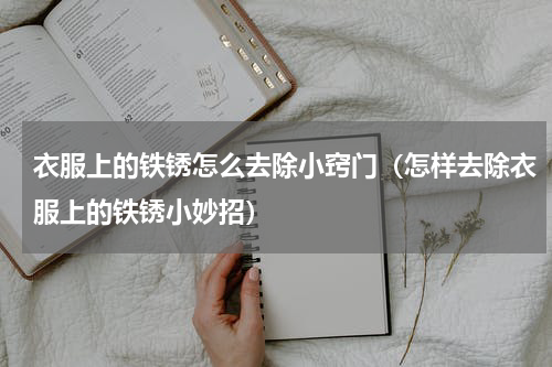 衣服上的铁锈怎么去除小窍门（怎样去除衣服上的铁锈小妙招）