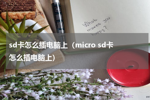 sd卡怎么插电脑上（micro sd卡怎么插电脑上）
