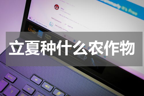 立夏种什么农作物