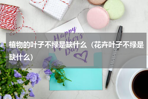 植物的叶子不绿是缺什么（花卉叶子不绿是缺什么）