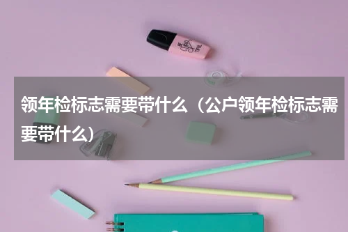 领年检标志需要带什么（公户领年检标志需要带什么）
