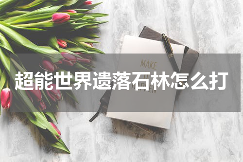 超能世界遗落石林怎么打