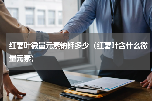 红薯叶微量元素钠钾多少（红薯叶含什么微量元素）