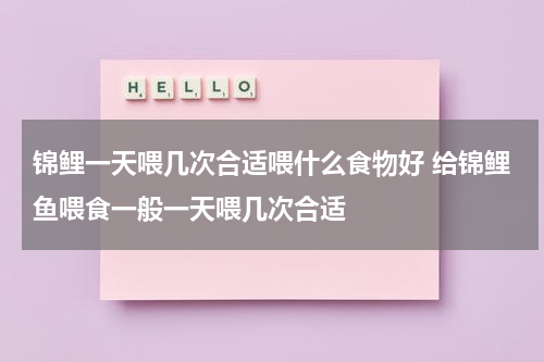 锦鲤一天喂几次合适喂什么食物好 给锦鲤鱼喂食一般一天喂几次合适
