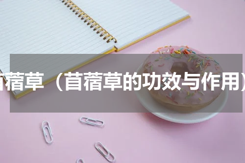 苜蓿草（苜蓿草的功效与作用）