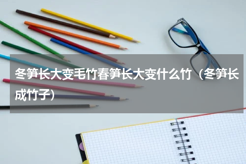 冬笋长大变毛竹春笋长大变什么竹（冬笋长成竹子）