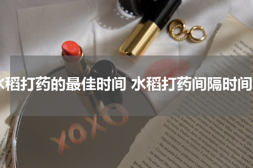 水稻打药的最佳时间 水稻打药间隔时间