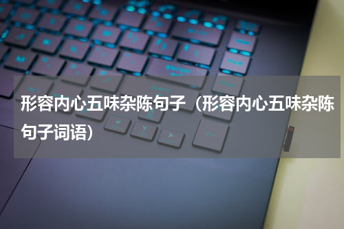 形容内心五味杂陈句子（形容内心五味杂陈句子词语）