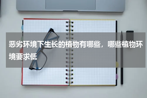 恶劣环境下生长的植物有哪些，哪些植物环境要求低