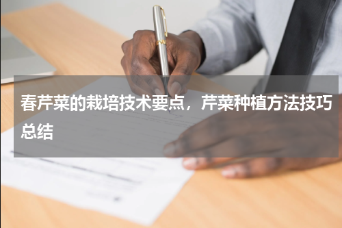 春芹菜的栽培技术要点，芹菜种植方法技巧总结