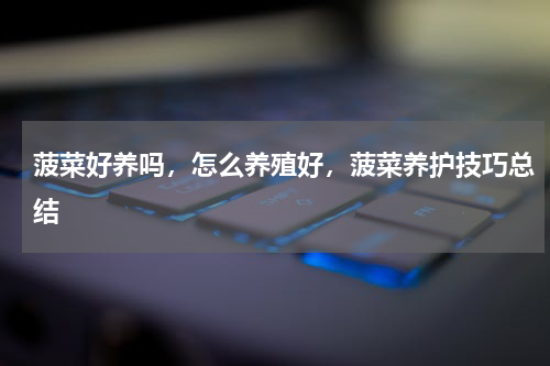 菠菜好养吗，怎么养殖好，菠菜养护技巧总结