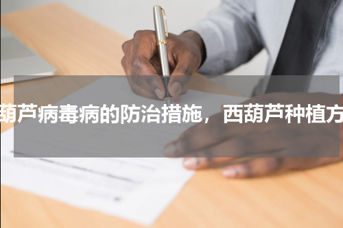 西葫芦病毒病的防治措施，西葫芦种植方法