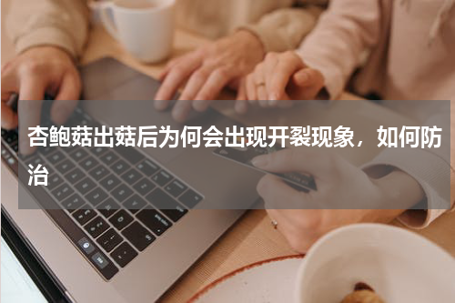 杏鲍菇出菇后为何会出现开裂现象，如何防治