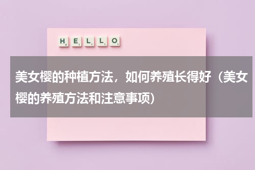 美女樱的种植方法，如何养殖长得好（美女樱的养殖方法和注意事项）