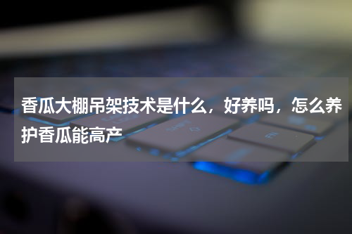 香瓜大棚吊架技术是什么，好养吗，怎么养护香瓜能高产