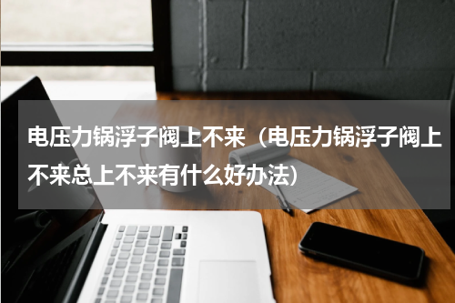 电压力锅浮子阀上不来（电压力锅浮子阀上不来总上不来有什么好办法）