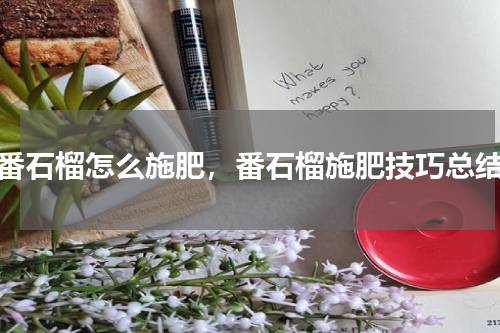 番石榴怎么施肥，番石榴施肥技巧总结