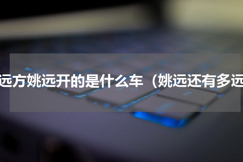 在远方姚远开的是什么车（姚远还有多远）