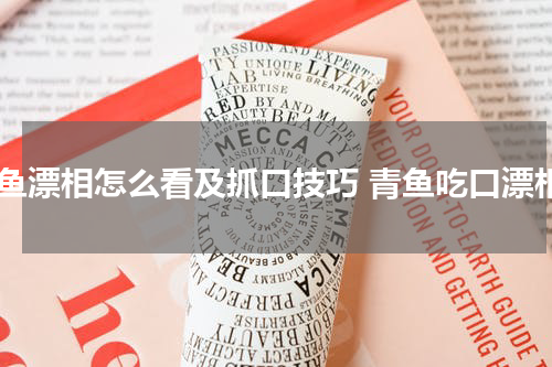 青鱼漂相怎么看及抓口技巧 青鱼吃口漂相