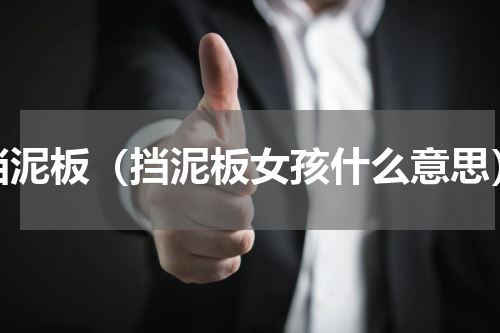 挡泥板（挡泥板女孩什么意思）