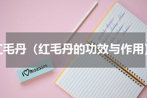 红毛丹（红毛丹的功效与作用）