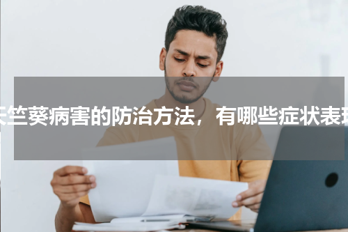 天竺葵病害的防治方法，有哪些症状表现