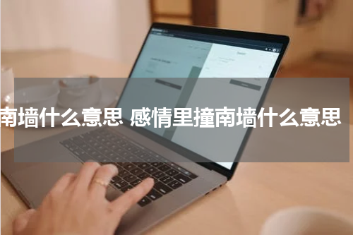 南墙什么意思 感情里撞南墙什么意思