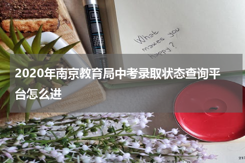 2020年南京教育局中考录取状态查询平台怎么进