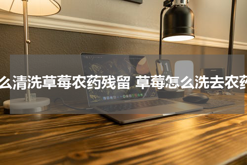 怎么清洗草莓农药残留 草莓怎么洗去农药