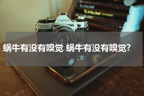 蜗牛有没有嗅觉 蜗牛有没有嗅觉?