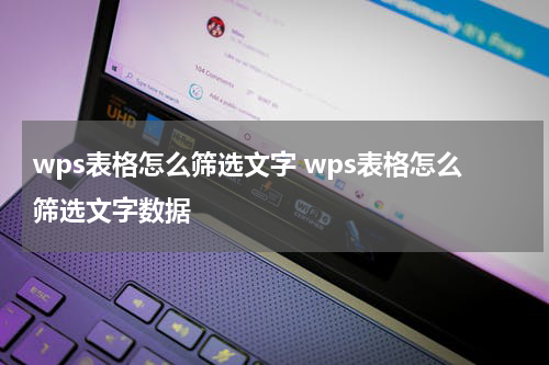 wps表格怎么筛选文字 wps表格怎么筛选文字数据