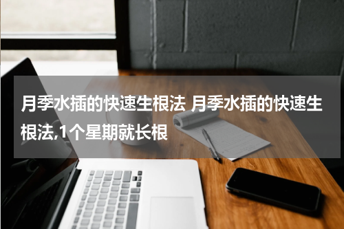 月季水插的快速生根法 月季水插的快速生根法,1个星期就长根